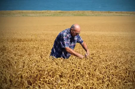 Nowa nadzieja dla brytyjskich rolników