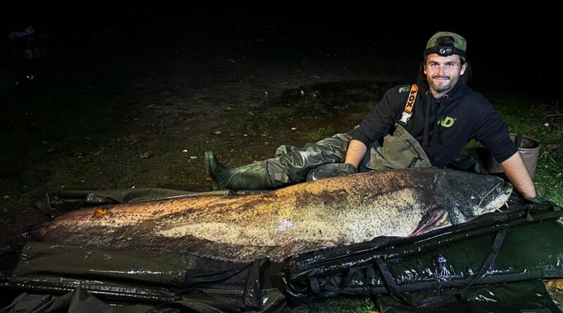 You are currently viewing Sum rekordzista