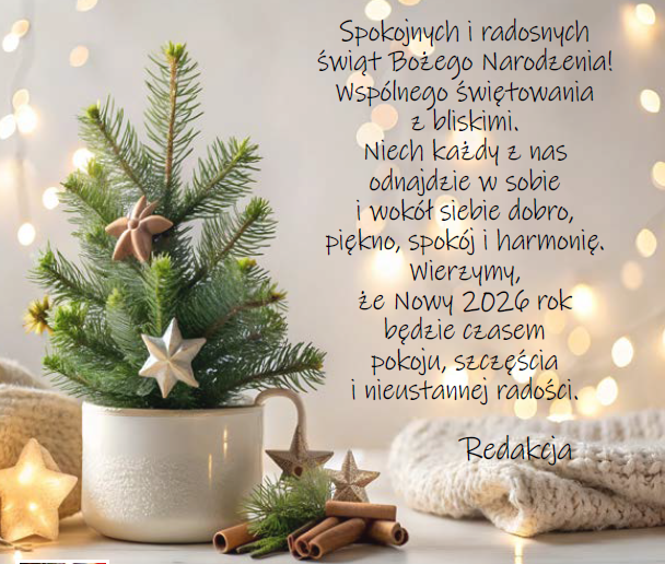 You are currently viewing 