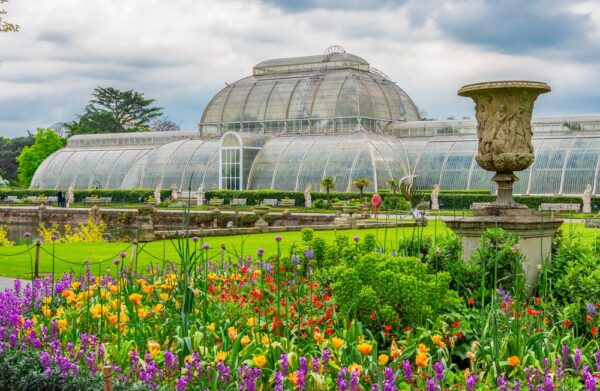 Kew Gardens apeluje o wsparcie dla palmiarni