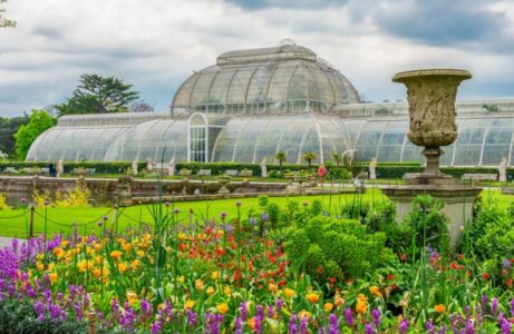 Kew Gardens apeluje o wsparcie dla palmiarni